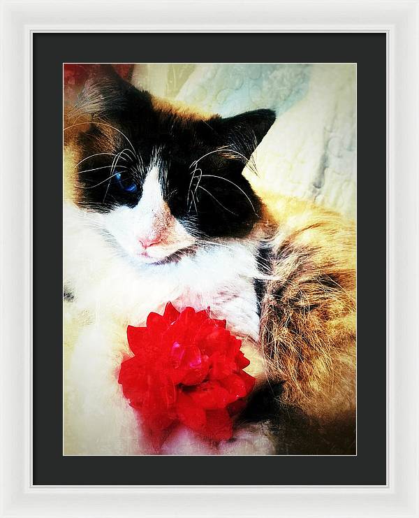 Fiona's Flower - Framed Print