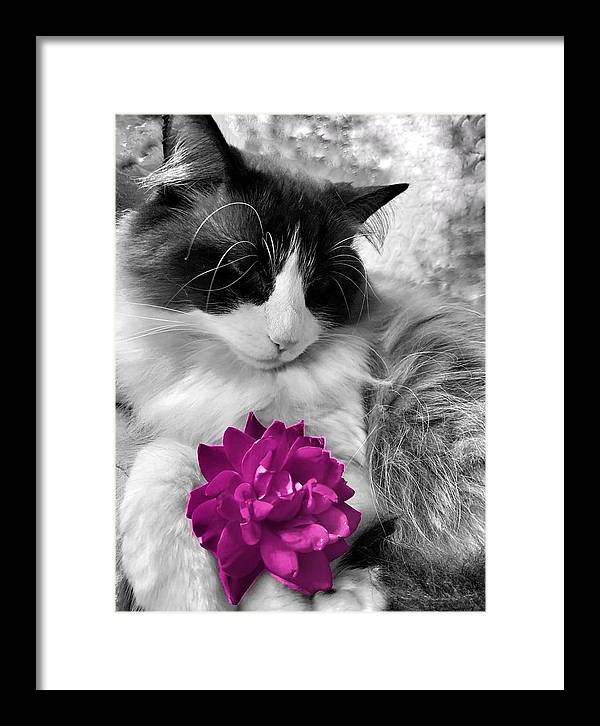 Fiona's Fuschia Flower - Framed Print