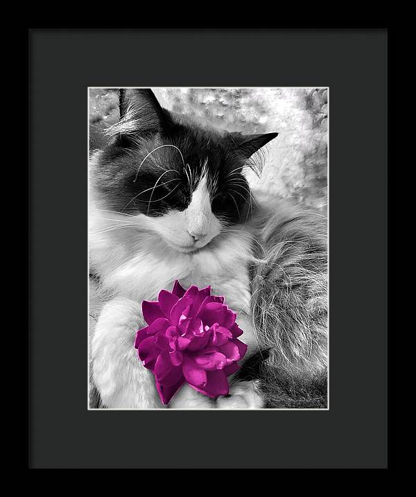 Fiona's Fuschia Flower - Framed Print