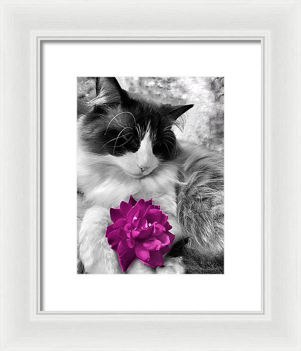 Fiona's Fuschia Flower - Framed Print