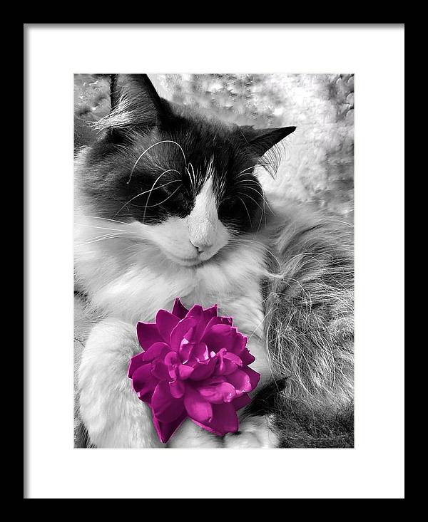 Fiona's Fuschia Flower - Framed Print