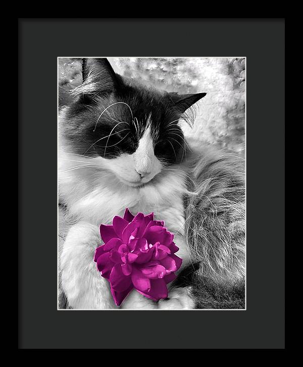Fiona's Fuschia Flower - Framed Print