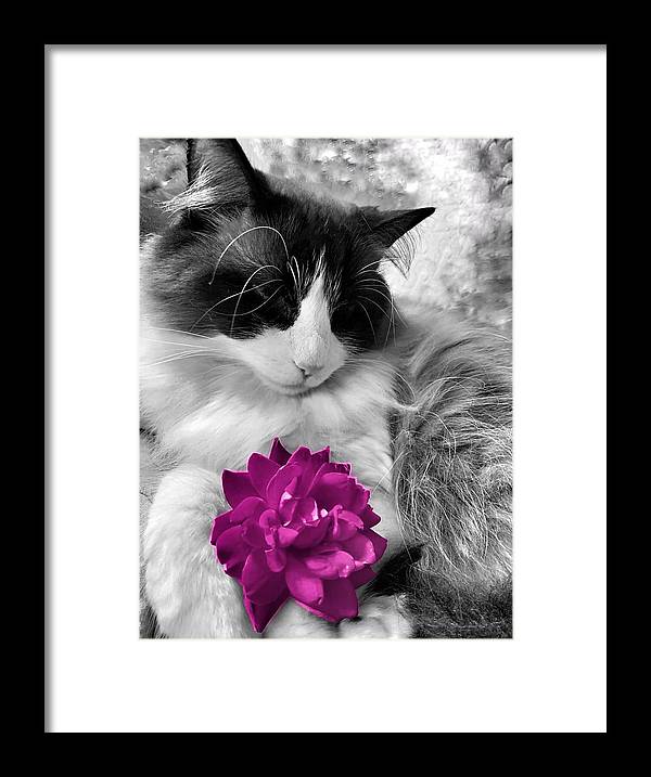 Fiona's Fuschia Flower - Framed Print