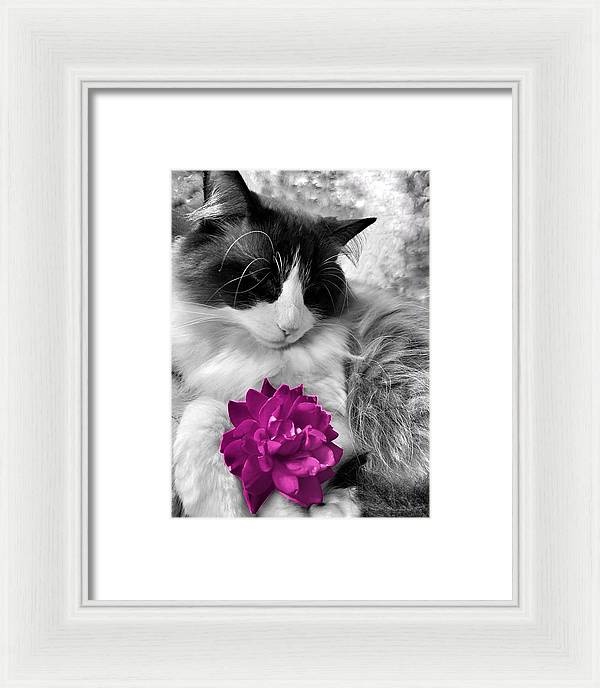 Fiona's Fuschia Flower - Framed Print