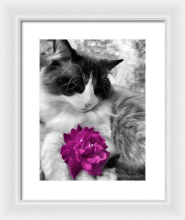 Fiona's Fuschia Flower - Framed Print