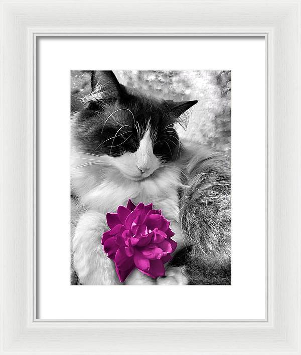 Fiona's Fuschia Flower - Framed Print