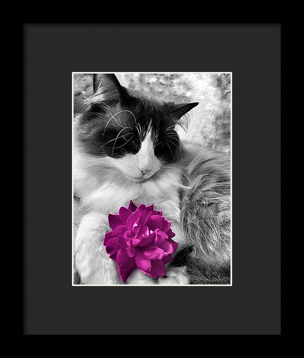 Fiona's Fuschia Flower - Framed Print