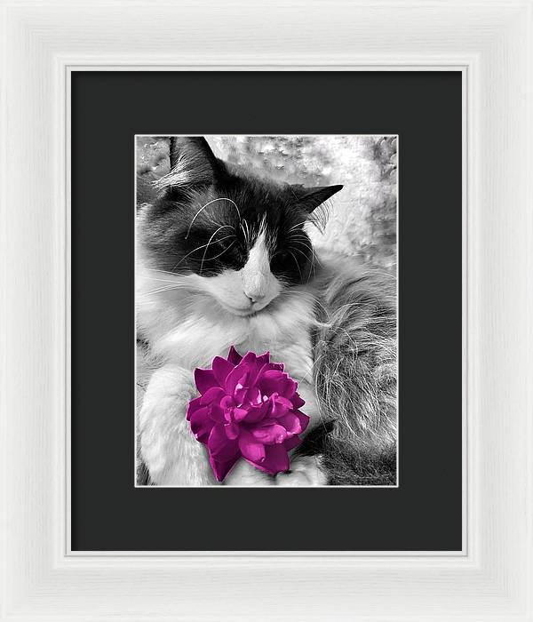 Fiona's Fuschia Flower - Framed Print
