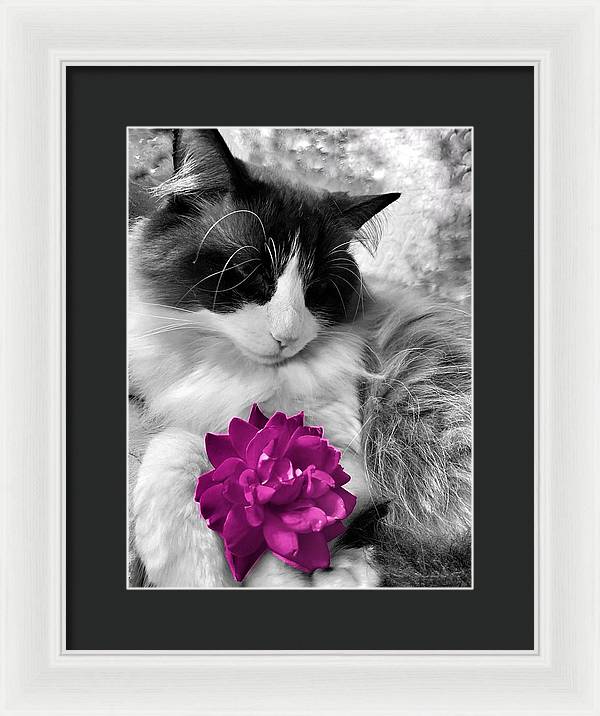 Fiona's Fuschia Flower - Framed Print