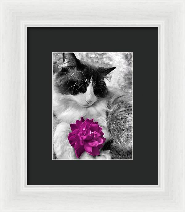 Fiona's Fuschia Flower - Framed Print