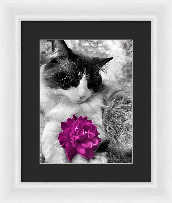 Fiona's Fuschia Flower - Framed Print