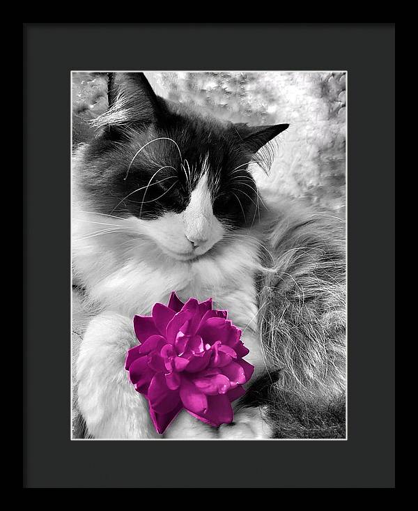 Fiona's Fuschia Flower - Framed Print