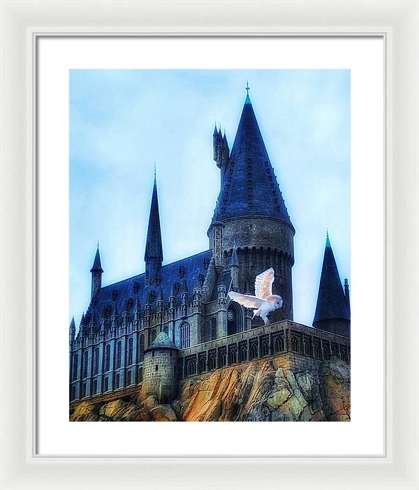 Hedwig - Framed Print