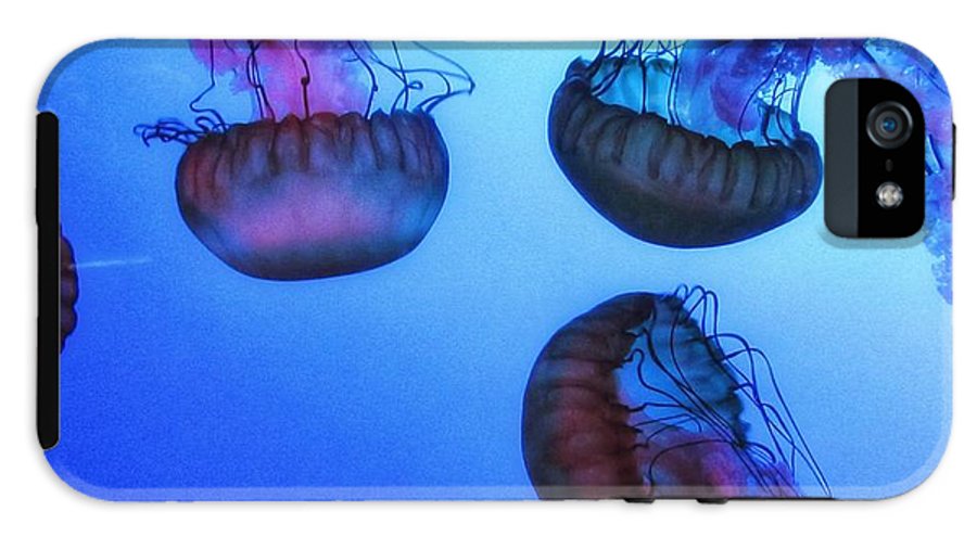 Jellyfish - Phone Case