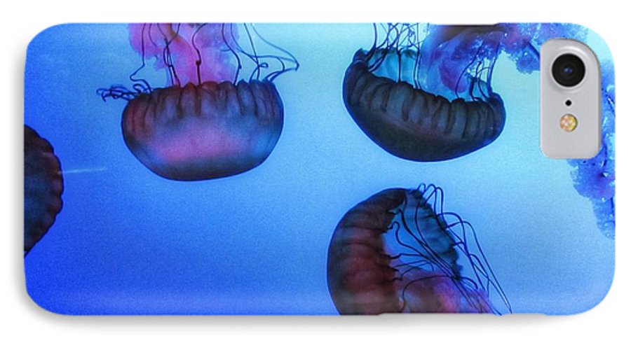 Jellyfish - Phone Case