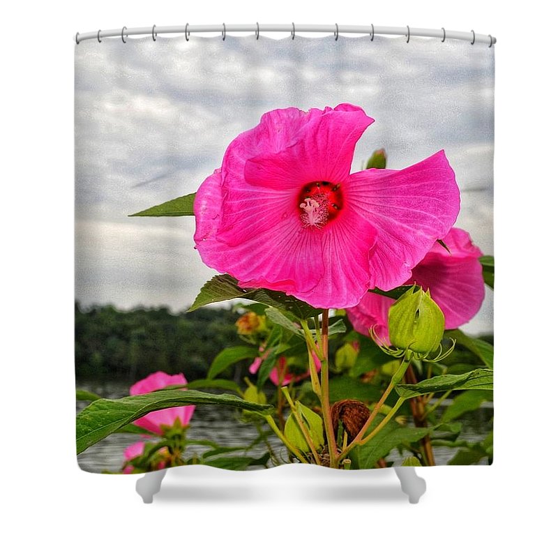 Lakeside Stunner - Shower Curtain