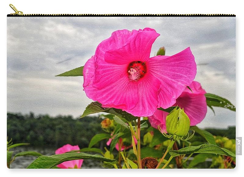 Lakeside Stunner - Carry-All Pouch