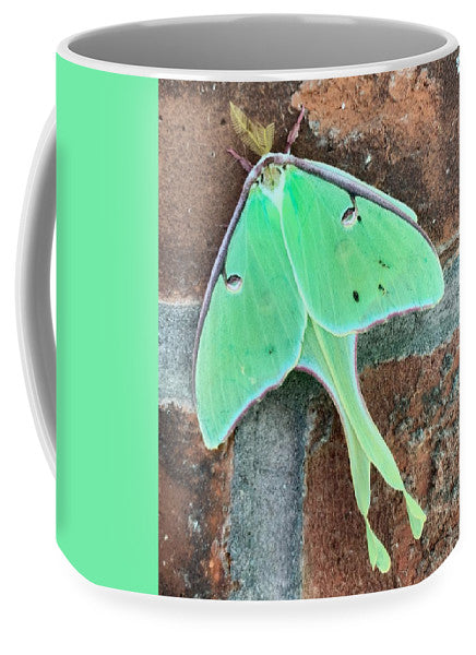Lunar Moth - Mug