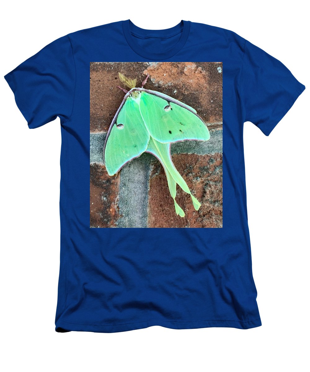 Lunar Moth - T-Shirt