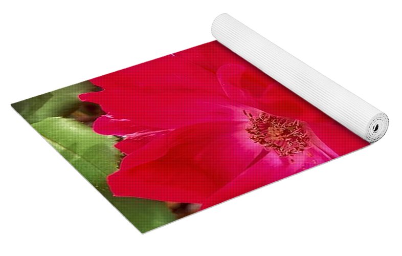 Natural Beauty - Yoga Mat