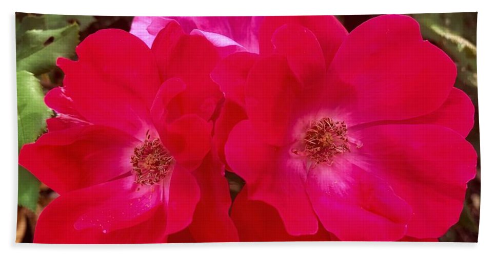 Natural Beauty - Beach Towel