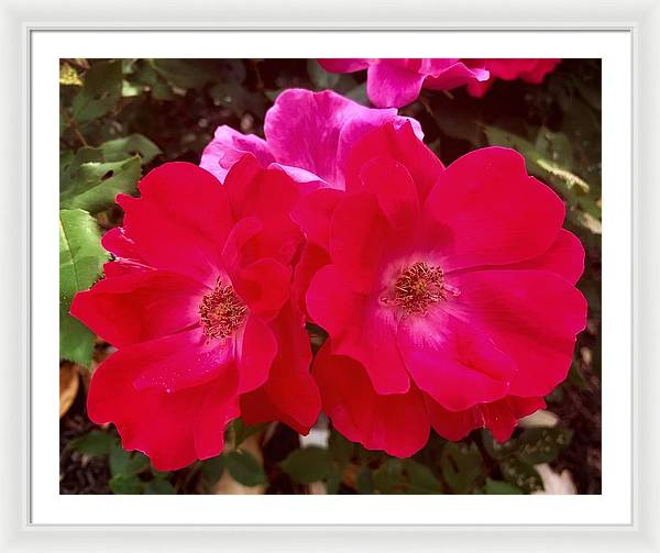 Natural Beauty - Framed Print