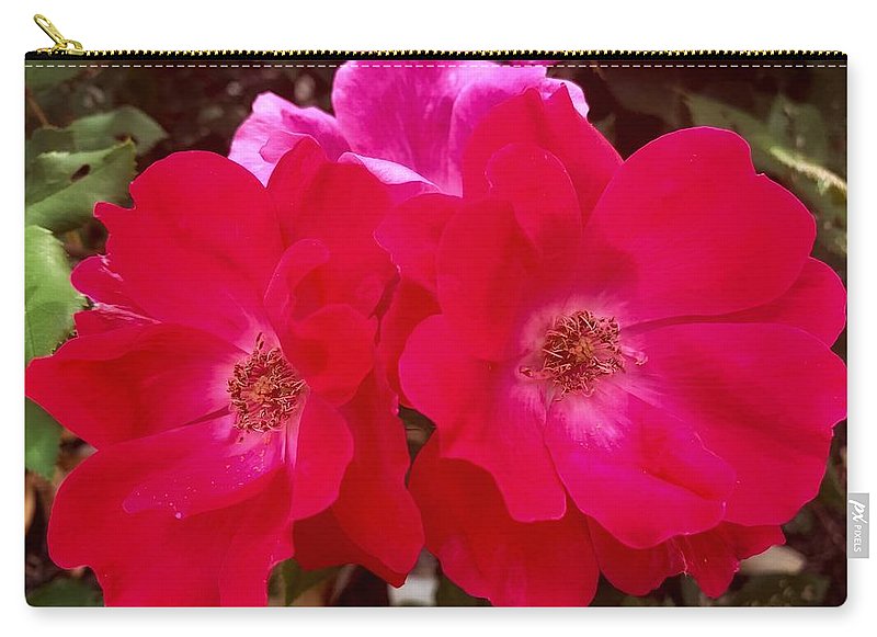 Natural Beauty - Carry-All Pouch