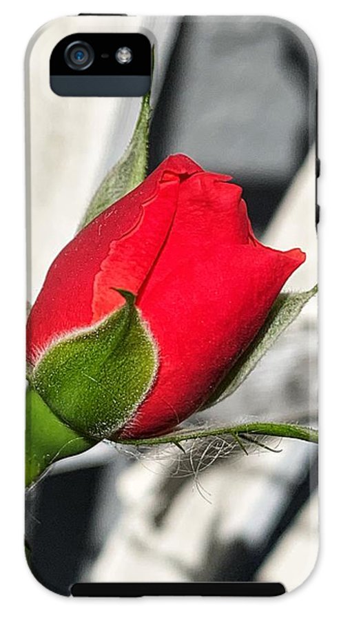New Life - Phone Case