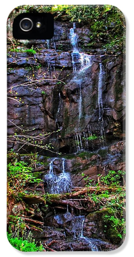 Roadside Treasure - Phone Case