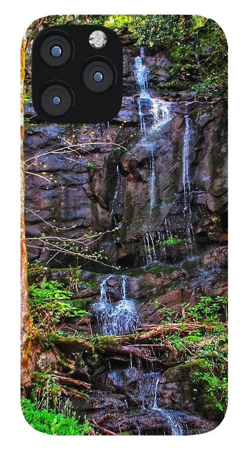 Roadside Treasure - Phone Case