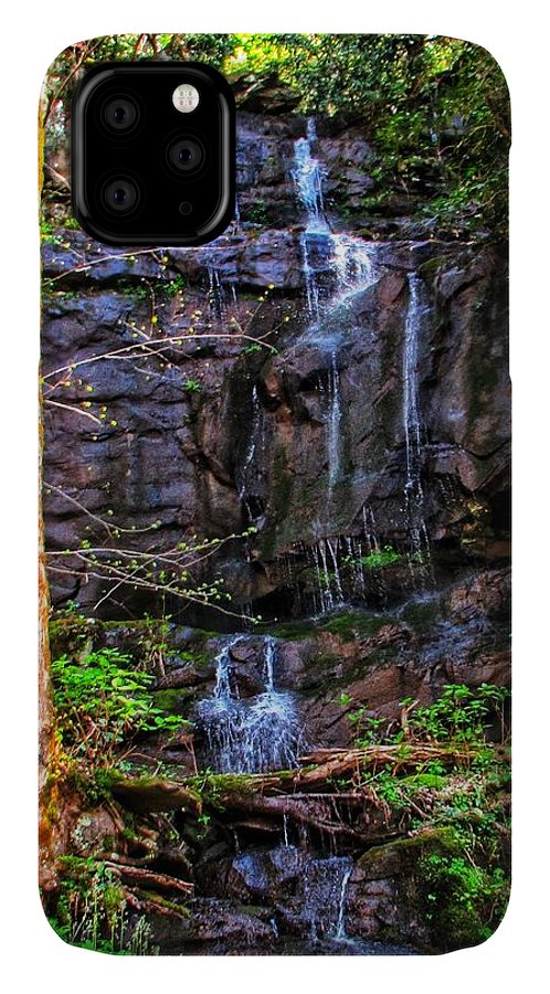 Roadside Treasure - Phone Case