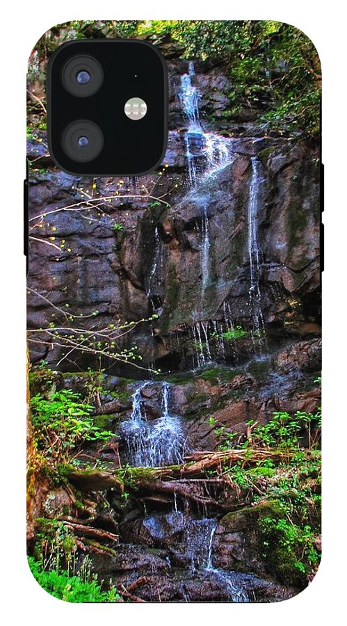 Roadside Treasure - Phone Case