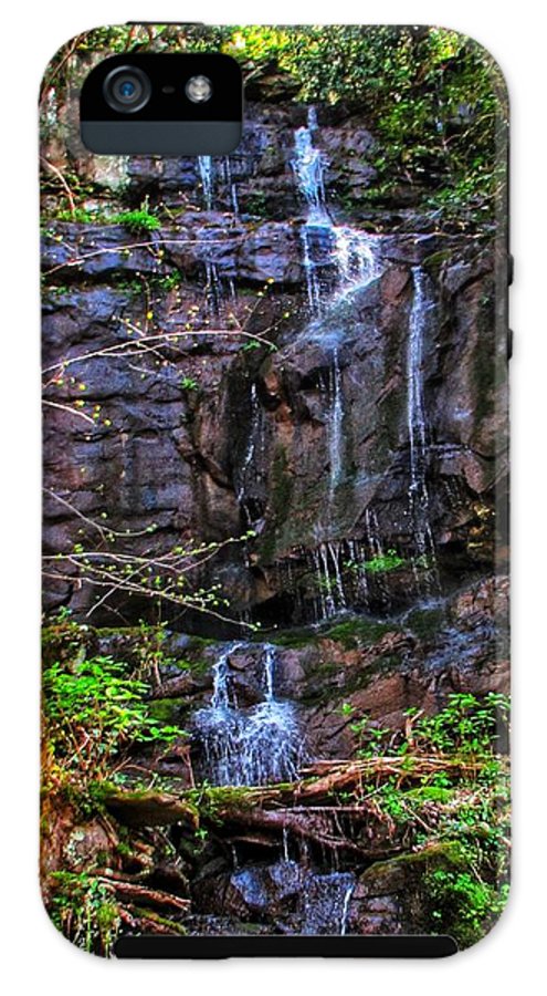 Roadside Treasure - Phone Case