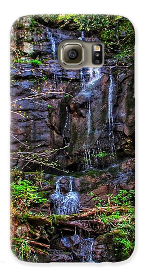 Roadside Treasure - Phone Case