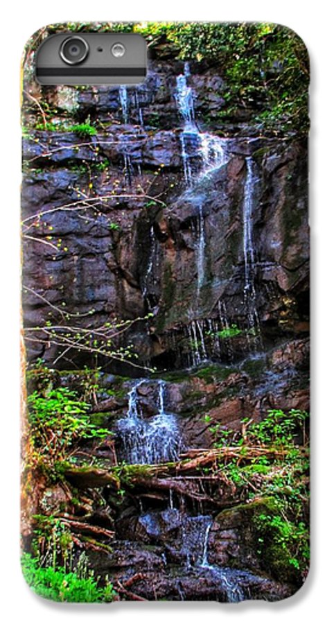 Roadside Treasure - Phone Case