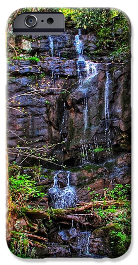 Roadside Treasure - Phone Case