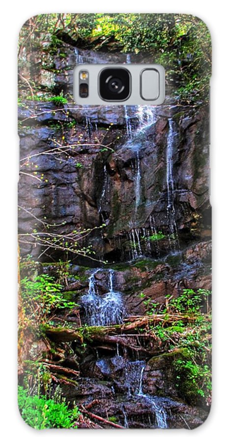 Roadside Treasure - Phone Case