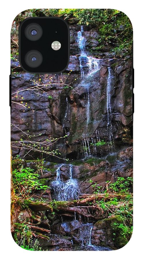 Roadside Treasure - Phone Case