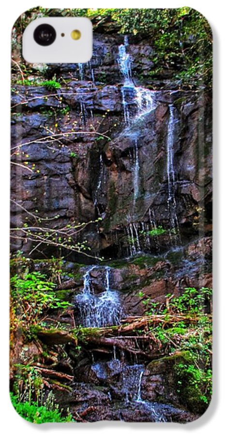 Roadside Treasure - Phone Case