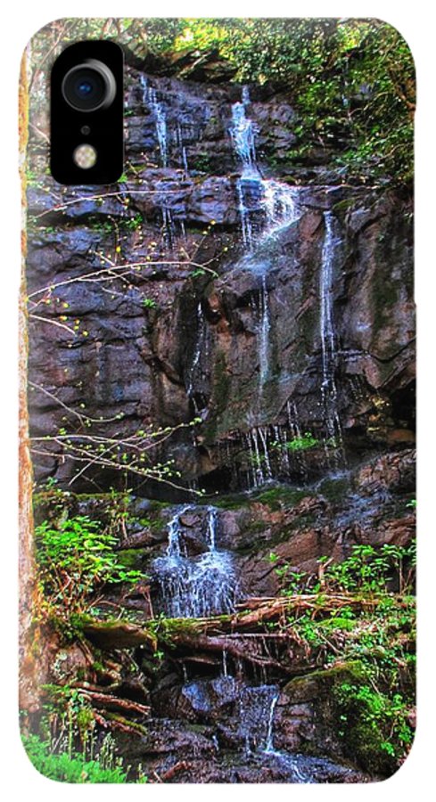 Roadside Treasure - Phone Case