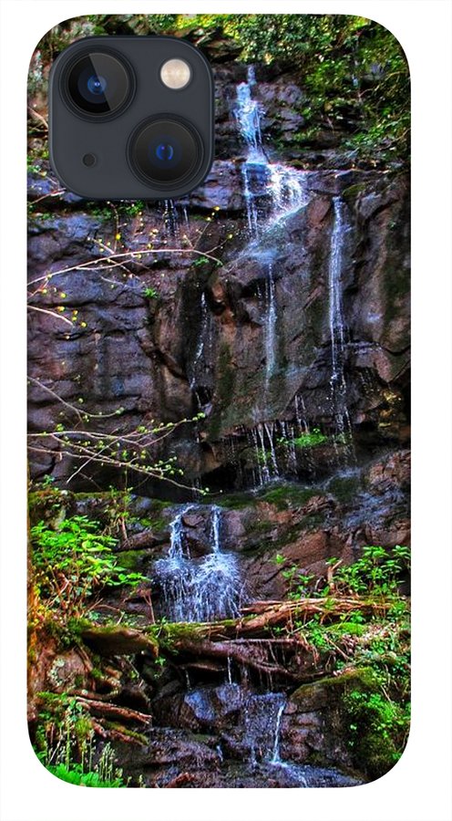 Roadside Treasure - Phone Case