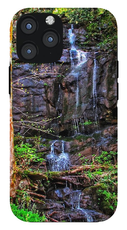 Roadside Treasure - Phone Case