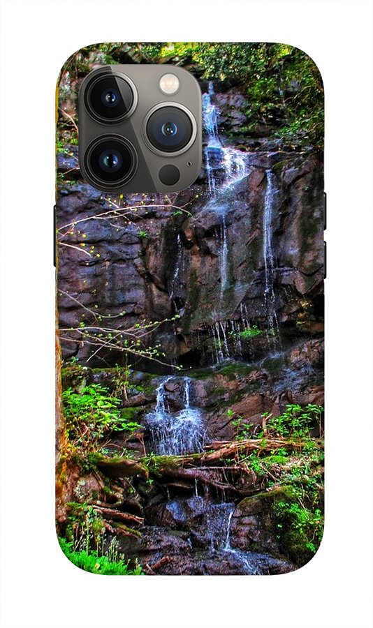 Roadside Treasure - Phone Case