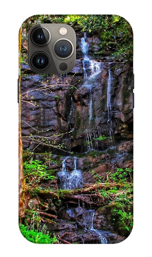 Roadside Treasure - Phone Case