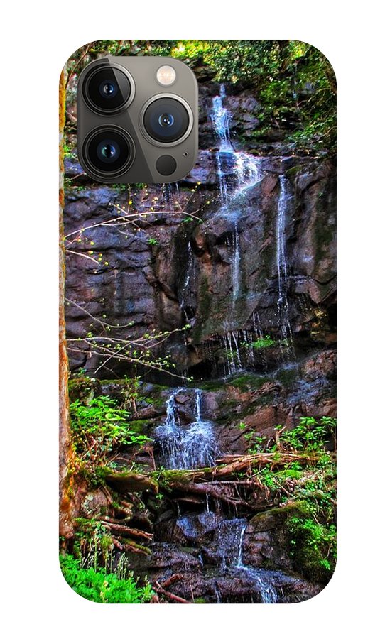 Roadside Treasure - Phone Case