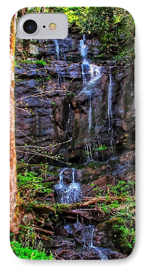 Roadside Treasure - Phone Case