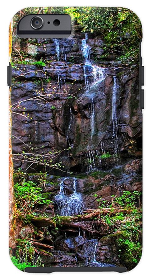 Roadside Treasure - Phone Case