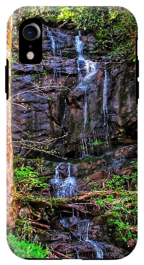 Roadside Treasure - Phone Case