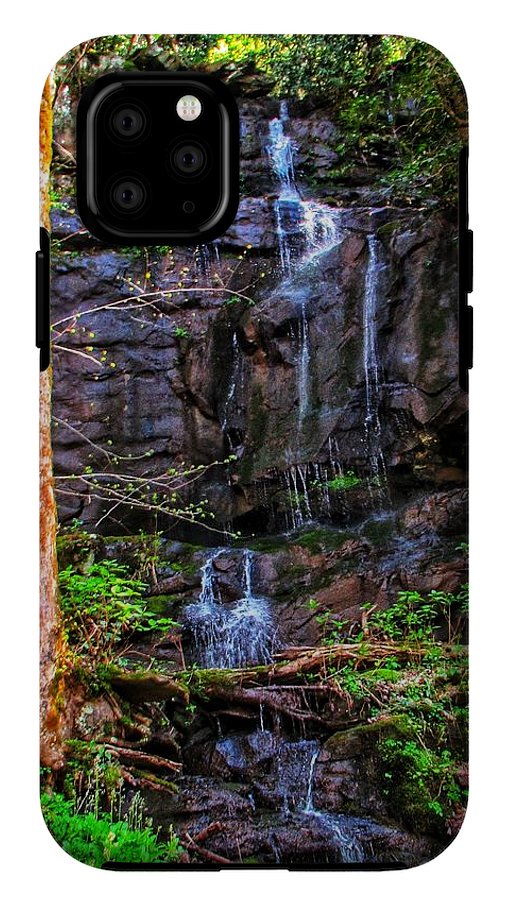 Roadside Treasure - Phone Case