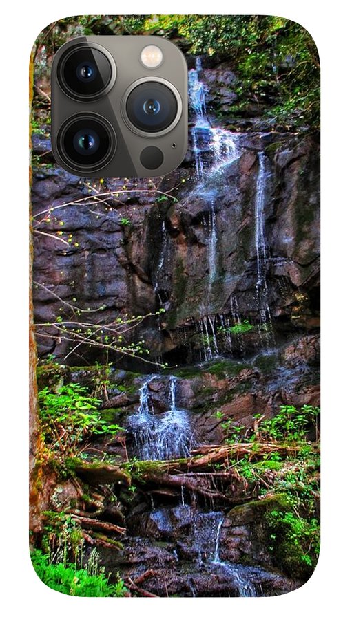 Roadside Treasure - Phone Case